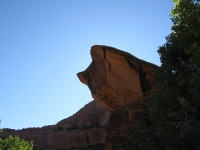 IMG_3970.JPG