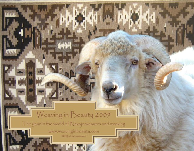 2009 Calendar Cover Graphic